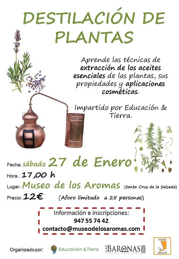 DESTILACIÓN DE PLANTAS EN EL MUSEO DE LOS AROMAS